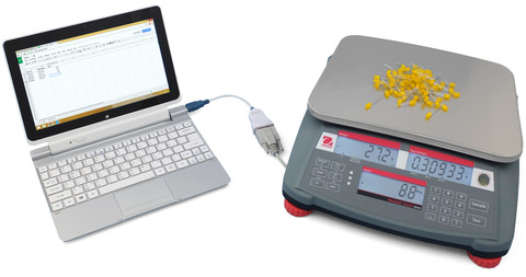 Counting scale connected to a computer